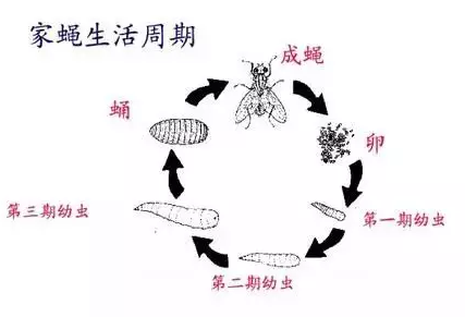 1624522515277948.png 微信截图_20210624161407.png